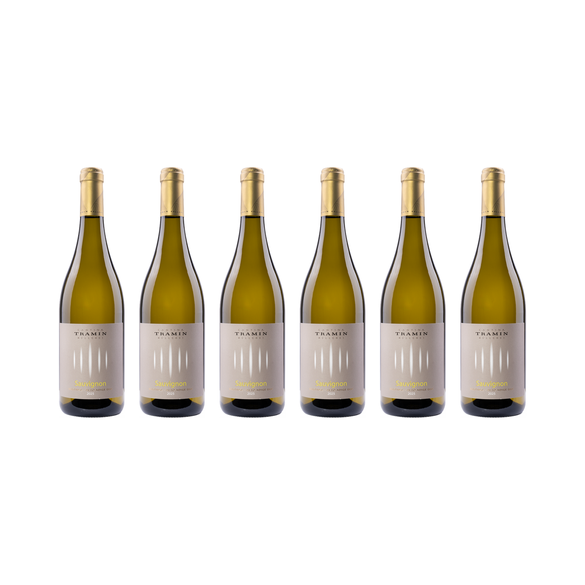 Sauvignon Blanc – 2025 — 6× 750 ml