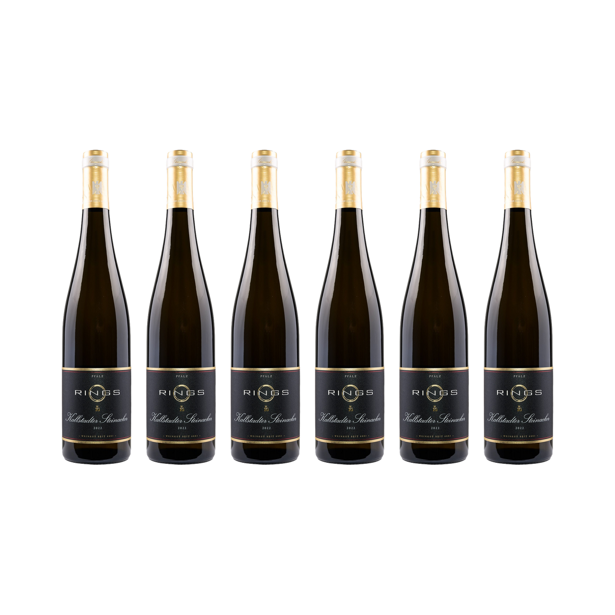 Kallstadter Steinacker Riesling 2022 — 6× 750 ml