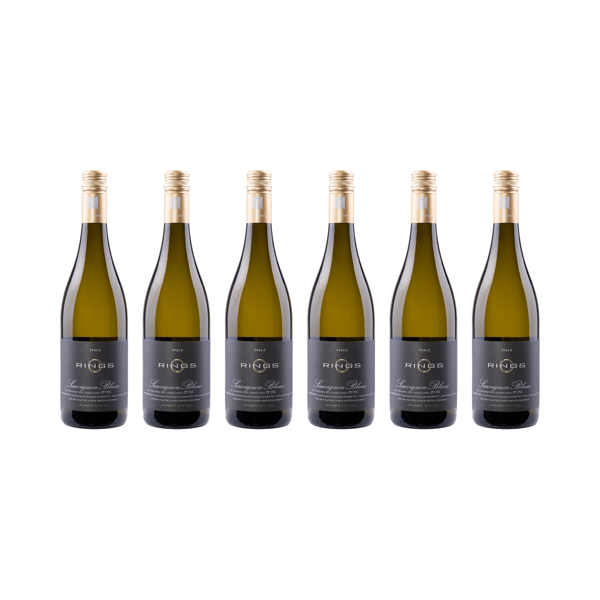 Sauvignon Blanc 2024 — 6× 750 ml