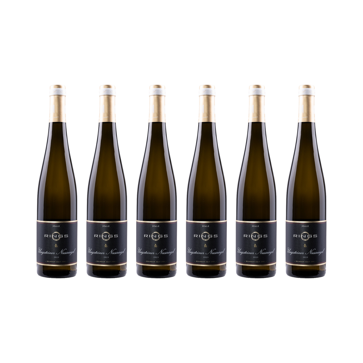 Ungsteiner Nussriegel Riesling 2023 — 6× 750 ml