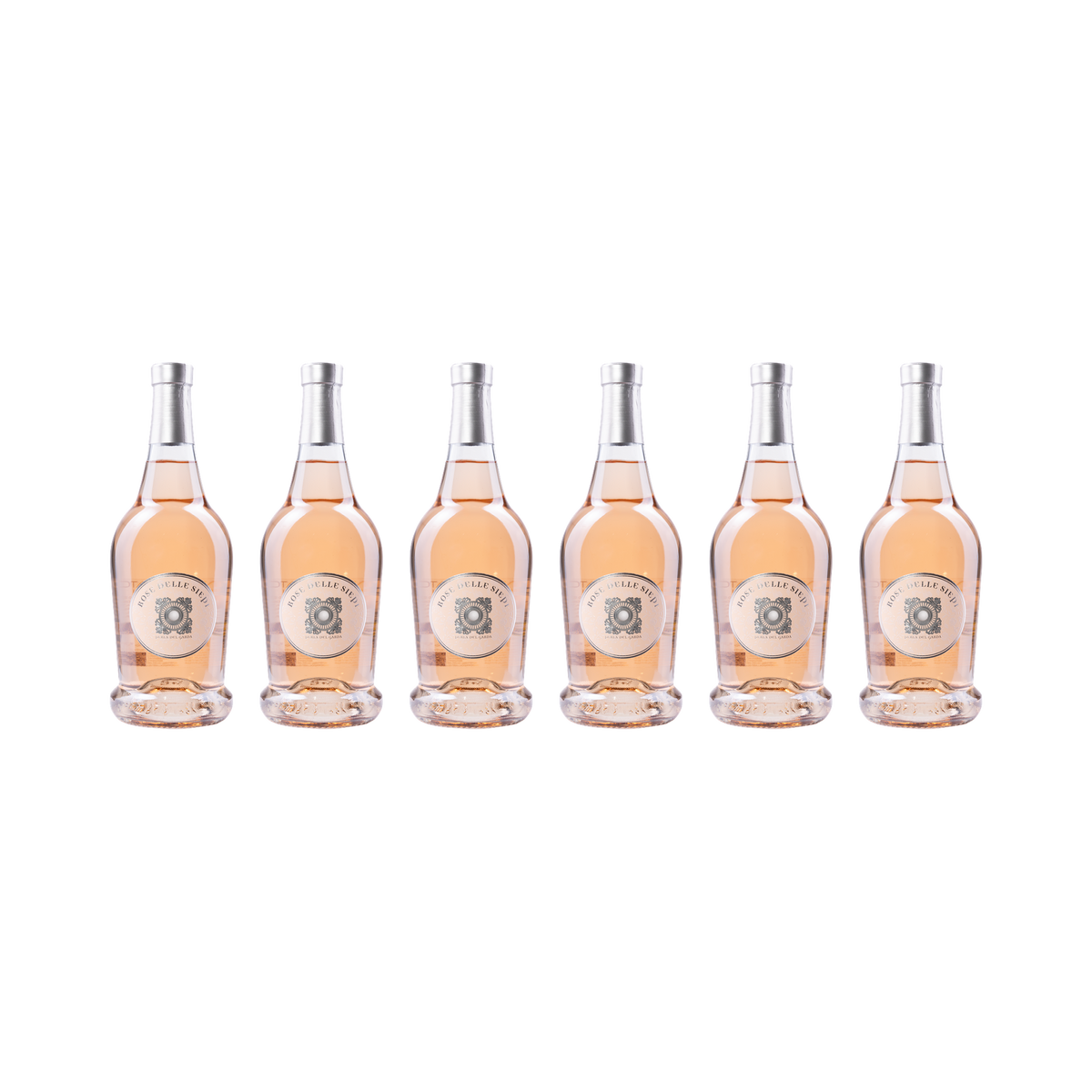Rose delle Siepi – 2025 – 6er Set
