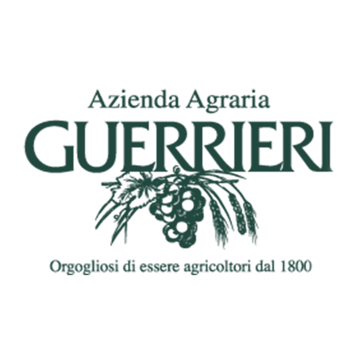 azienda-guerrieri