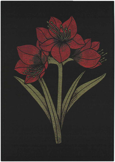 Kapamaryllis Handtuch – 35x50cm