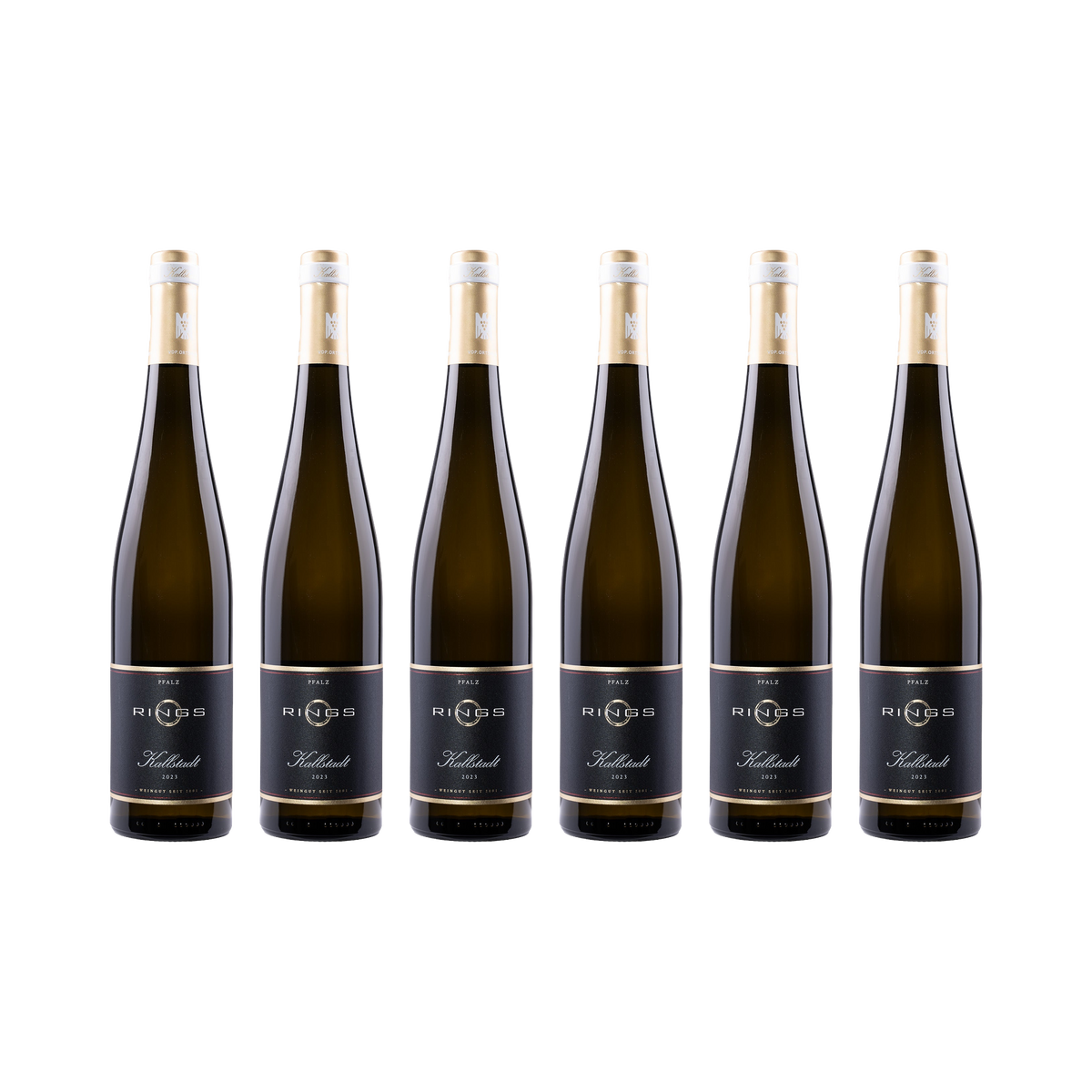 Kallstadt Riesling 2023 — 6× 750 ml