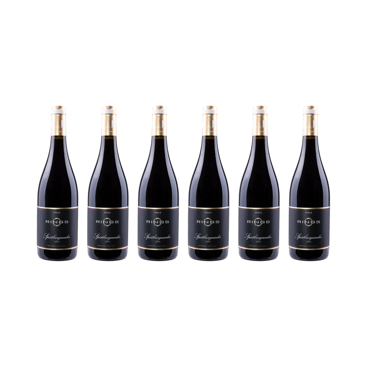 Pfalz Spätburgunder 2022 — 6× 750 ml