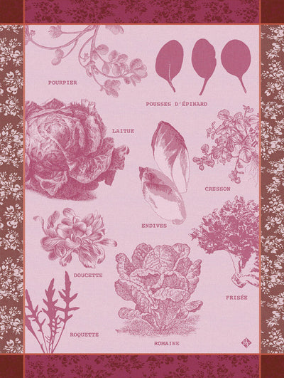 Geschirrtuch – Salades Illustrées – Chicorée