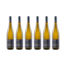 Riesling – 2024 — 6er Set