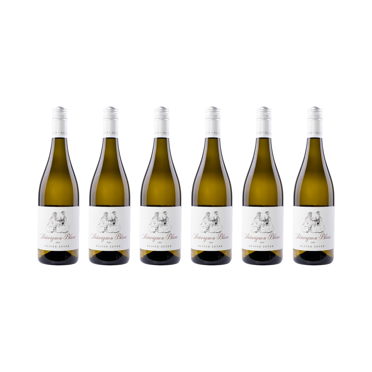 Sauvignon Blanc – 2025 — 6× 750 ml